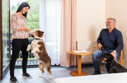 Kur/GVA und Urlaub mit Hund Kur/GVA und Urlaub mit Hund